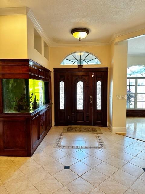 3905 Dumfries Ct in Apopka, FL - Building Photo - Building Photo