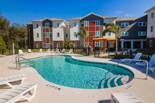Bellarmine Hall - *USF STUDENT LIVING* in Tampa, FL - Building Photo