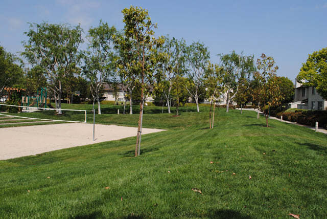 53 Exeter, Unit 53 Exeter in Irvine, CA - Foto de edificio - Building Photo
