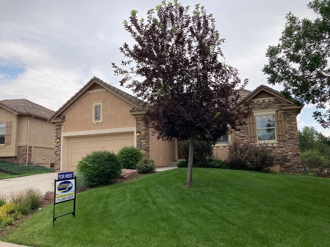 2732 Crooked Vine Ct in Colorado Springs, CO - Building Photo - Building Photo