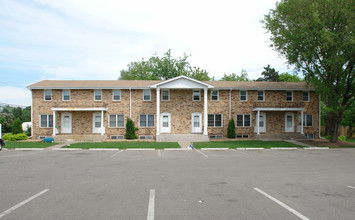 Lincoln Manor Townhomes in Minneapolis, MN - Building Photo - Building Photo