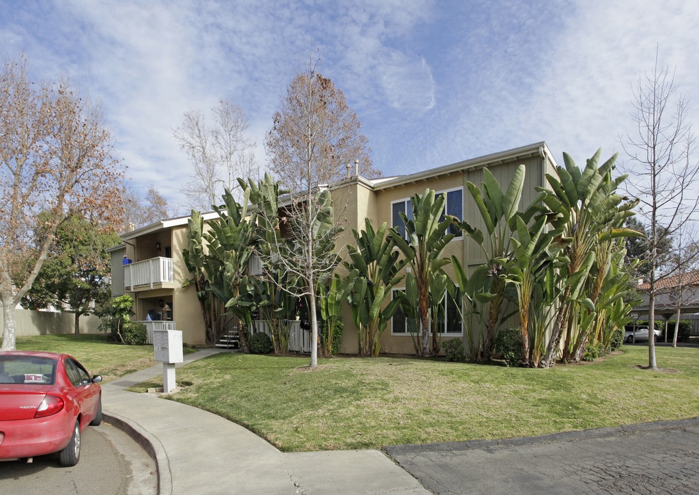 2561 White Oak Pl in Escondido, CA - Building Photo