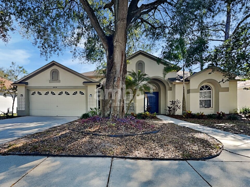 10434 Ashley Oaks Dr in Riverview, FL - Building Photo