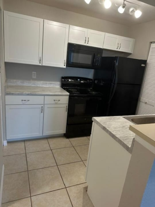 11532 Westwood Blvd in Orlando, FL - Building Photo