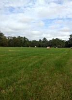 8035 NW 120th St in Reddick, FL - Building Photo