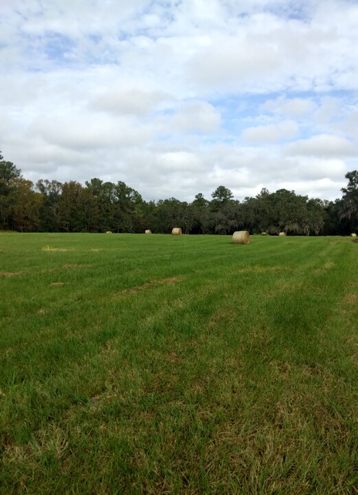 8035 NW 120th St in Reddick, FL - Foto de edificio