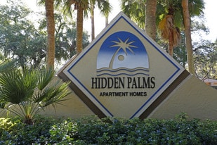 Hidden Palms