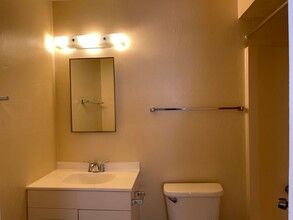 4131 S Queen Palm Dr in Tucson, AZ - Building Photo - Building Photo