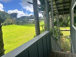 55-719-719 Kahei Rd in Hawi, HI - Building Photo - Building Photo