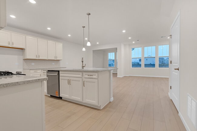 668 Switchgrass Wy in Bolingbrook, IL - Building Photo - Building Photo