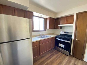 919 S Carpenter St in Chicago, IL - Building Photo - Building Photo