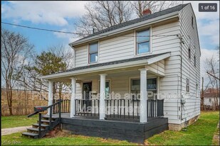 1033 Chandler Ave in Akron, OH - Building Photo