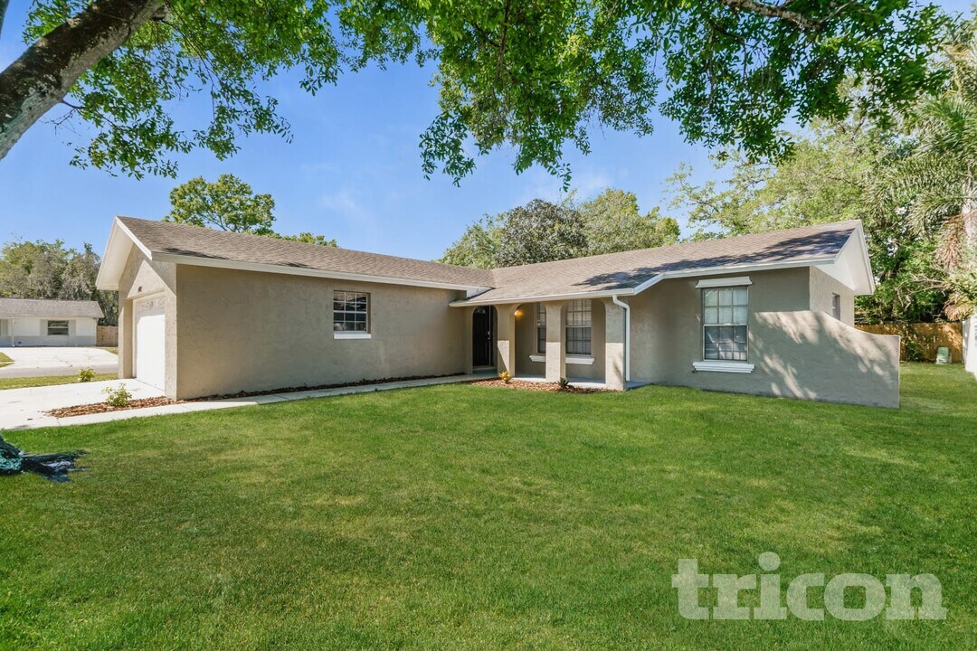 1002 Saxon Ct in Brandon, FL - Building Photo