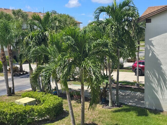 346 Madeira Cir in St. Petersburg, FL - Building Photo - Building Photo