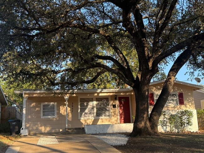 property at 3057 Tex Blvd