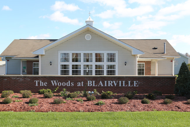 Woods at Blairville in Lewiston, NY - Building Photo - Building Photo