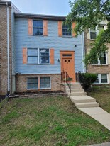 11518 Big Creek Dr in Beltsville, MD - Building Photo
