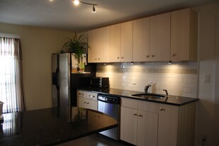 8 Adamson St in Boston, MA - Building Photo