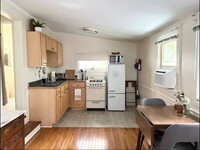 217 Park Pl, Unit Studio in Ithaca, NY - Building Photo - Building Photo