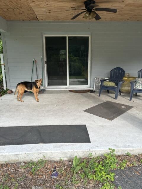 14199 Orange Blvd in The Acreage, FL - Building Photo - Building Photo