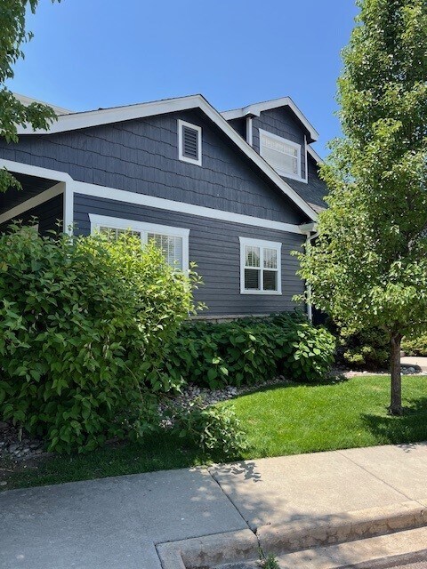 1519 Waterfront Dr in Windsor, CO - Building Photo - Building Photo