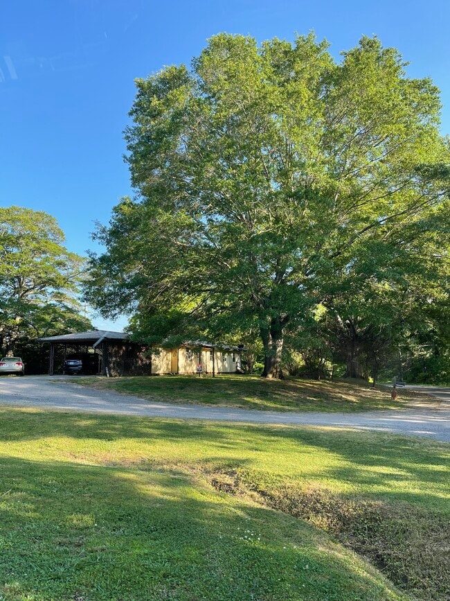 380 Co Rd 226 in Cullman, AL - Building Photo - Building Photo
