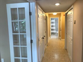 258 Chestnut Hill Ave, Unit 9 in Boston, MA - Building Photo - Building Photo