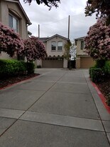 1505 Hermocilla Way in San Jose, CA - Building Photo