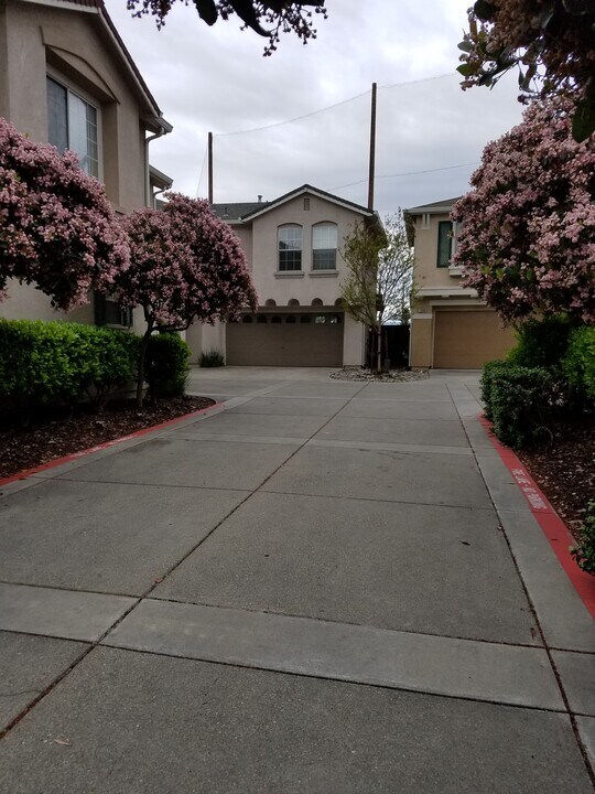 1505 Hermocilla Way in San Jose, CA - Building Photo