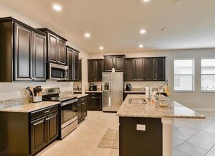 14051 Tropical Kingbird Way in Riverview, FL - Building Photo - Building Photo