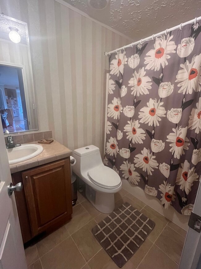 59 Dillingham Cir in Asheville, NC - Building Photo - Building Photo