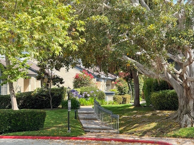 3117 Morning Way in San Diego, CA - Building Photo - Building Photo