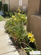 29727 W Laguna Dr in Cathedral City, CA - Building Photo - Building Photo