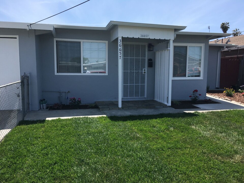 36657 Jennifer St in Newark, CA - Foto de edificio