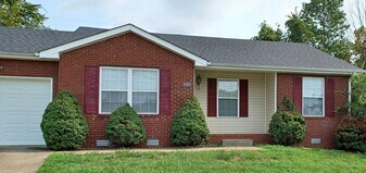 221 Lady Alice Ct in Clarksville, TN - Building Photo