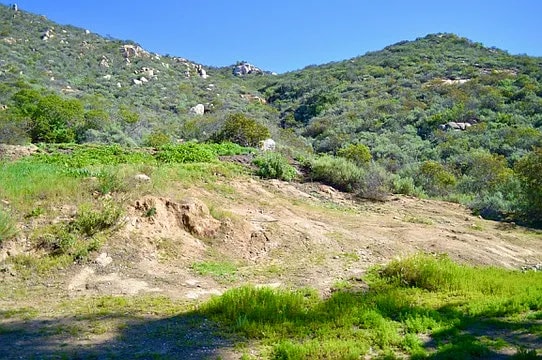 property at 976 Deer Springs Rd