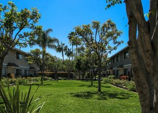 Gilbert Terrace Townhomes in Fullerton, CA - Building Photo - Building Photo