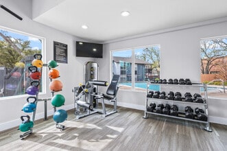 Catalina in Lewisville, TX - Foto de edificio - Interior Photo