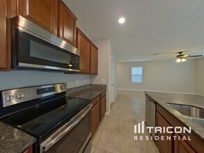 10015 RoseMary Leaf Ln in Riverview, FL - Building Photo - Building Photo