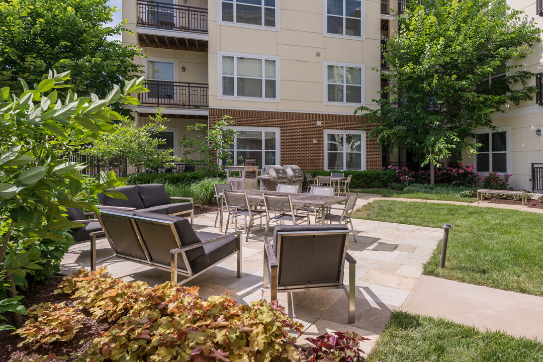 The Victor Stonebridge in Woodbridge, VA - Building Photo