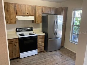1136 Dover Ct in Safety Harbor, FL - Building Photo - Building Photo