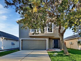 30142 Rattana Ct in Wesley Chapel, FL - Building Photo