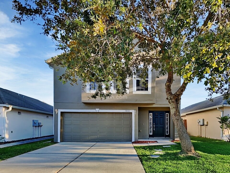 30142 Rattana Ct in Wesley Chapel, FL - Building Photo