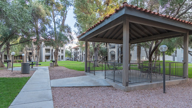 Canyon Oaks in Tucson, AZ - Building Photo - Other