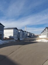 210 E Chestnut St in Windsor, CO - Building Photo - Building Photo