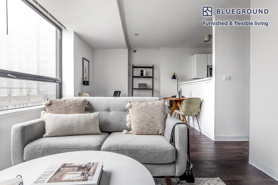 445 E Ohio St in Chicago, IL - Building Photo