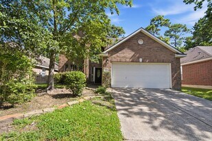 43 N Abram Cir in Spring, TX - Building Photo