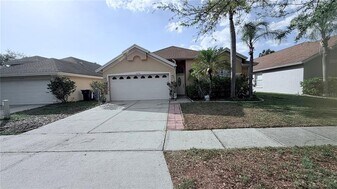 10216 Oasis Palm Dr in Tampa, FL - Building Photo