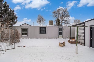 1021 Glen Creighton Dr in Dacono, CO - Building Photo