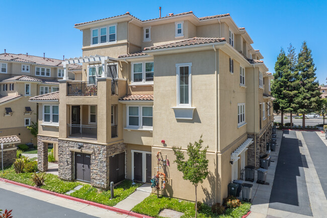 The Courtyards at Dublin Ranch Villages in Dublin, CA - Building Photo - Building Photo